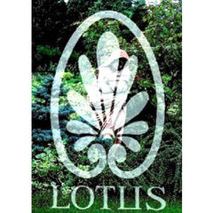 Lotus Peyzaj