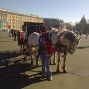 Наталья Филиппова's photo