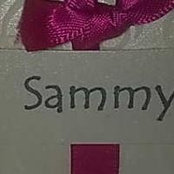 Sammy Adewumi's photo