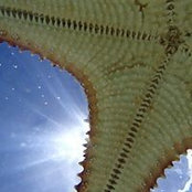 Alex Raton's photo