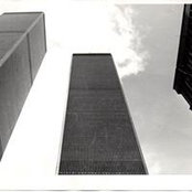 Photo de Donna Caputo