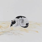Eiko Mizuno's photo