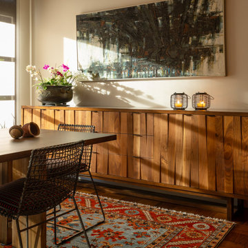 Art Collector's Home