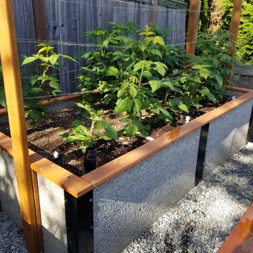 Backyard Gardens