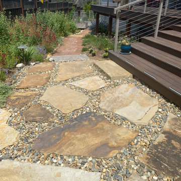 Resilient Landscapes with California native plants