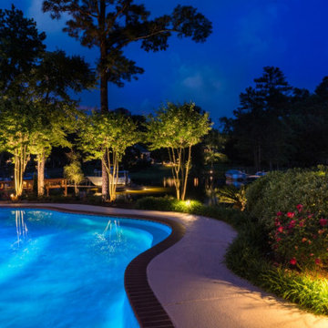 Backyard Lighting - Greenville Tree Lighting
