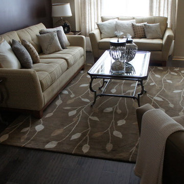 Westerville Ohio Living Room Remodel