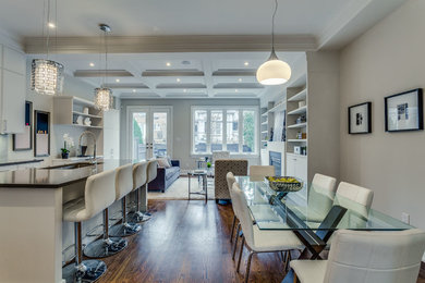 Example of a minimalist living room design in Toronto
