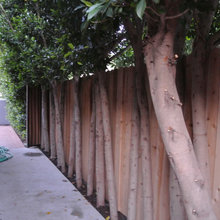 fence