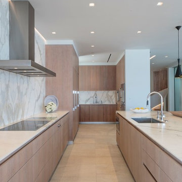 Beachfront Malibu Project