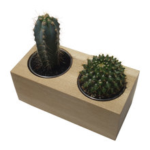 Planters
