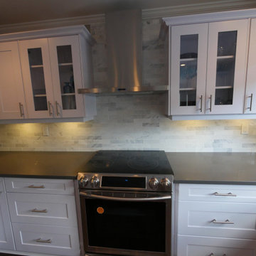 Langley Main Floor Renovation