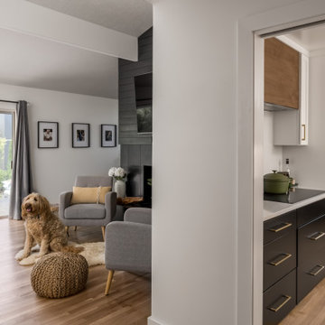 MCM Whole House Makeover