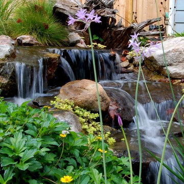 Ponds & Waterfalls