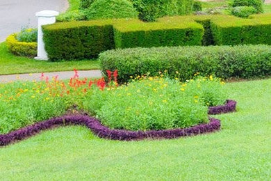 Our Work