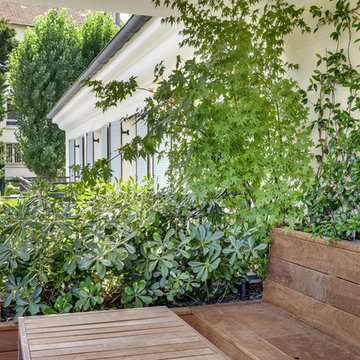 Plantes grimpantes de la terrasse