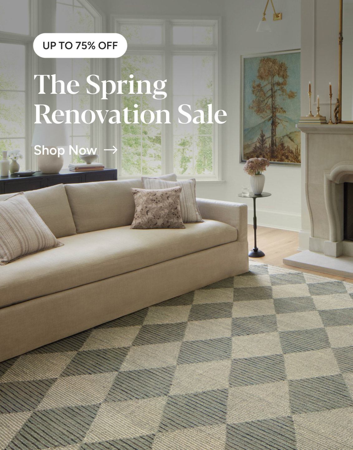 Shop Promo Banner
