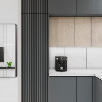 Monochrome Elegant Kitchen and Living Room Combo