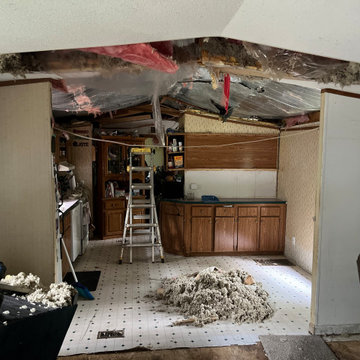 Tree fell through trailer roof repair