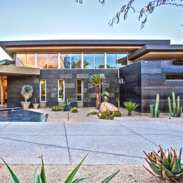 Desert Modern