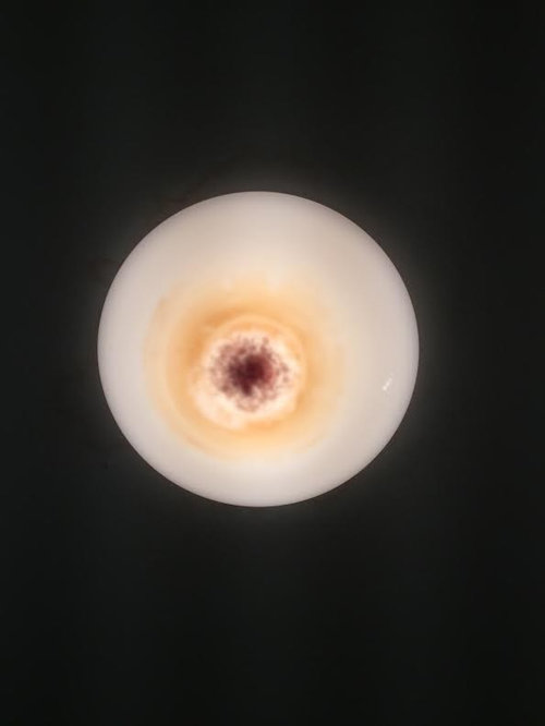 Bathroom Light Above Shower Appears to be Burning?