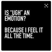 Jill Van Vleet's photo