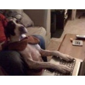 HammerDog Solomonson's photo