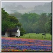 Jane Lawrence's photo