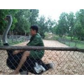 James Hong's photo