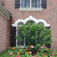 The Real Cedar Shutter Company's profile photo