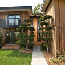 Cabin Landscaping