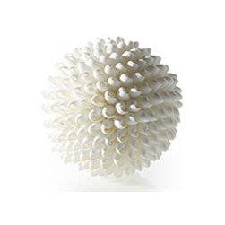 Our Products - Products