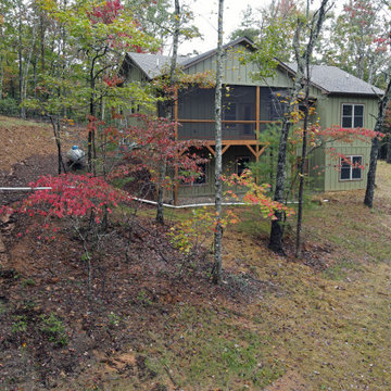 Dogtrot in the Woods