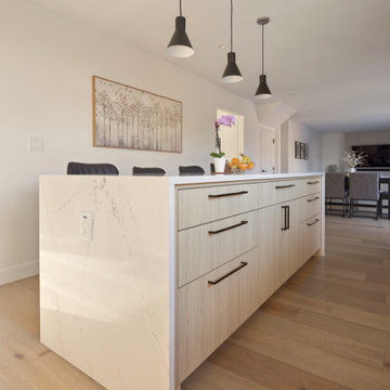 Interior Remodel and Addition, Sunnyvale - 5