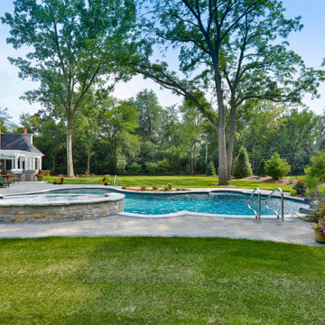 Naperville, IL Freeform Swimming Pool with Raised Hot Tub