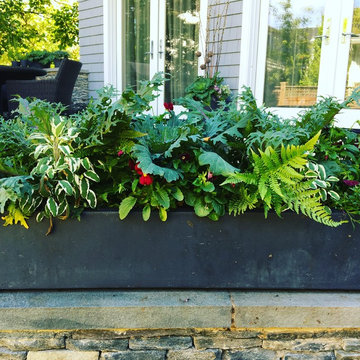 Fall Container Garden Design