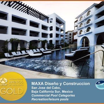 2014 APSP International Awards of Excellence