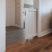 Cat Room