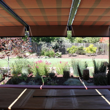 Arbor/Canopy Systems