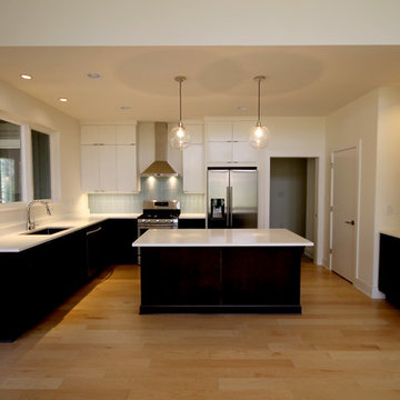 Suburban Modern