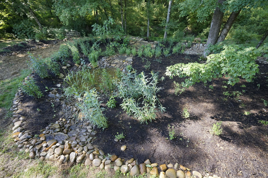 French Broad Rain Garden