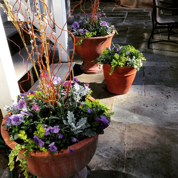 Spring Container Garden Design