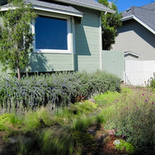 Moms Yard