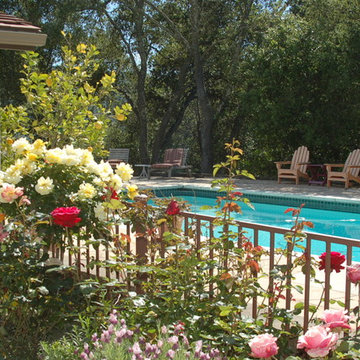 California Old Hacienda Garden
