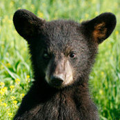 Scott Gilmore's photo