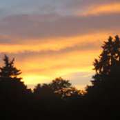 Tina Bernier's photo