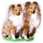 Elena Gordeeva's photo