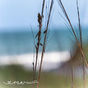 Foto von Rita Ann Maloney