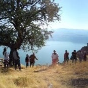 Fahreddin Öngül's photo