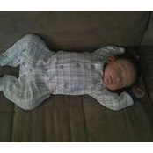 Anthony Gerardi's photo